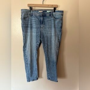Anthropologie Pilcro Slim Boyfriend Crop Denim Jeans 18W Plus
